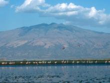 Lago Natrón y volcán Kitumbene